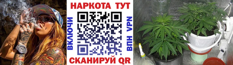Купить наркотики Екатеринбург СОЛЬ  Каннабис 