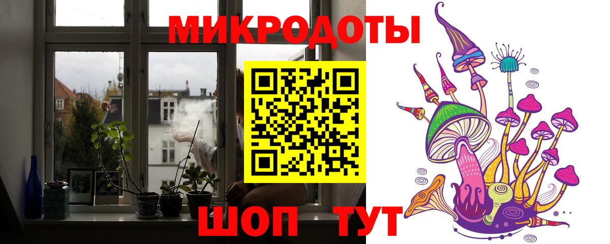 Псилоцибиновые грибы Psilocybe  цена наркотик  Екатеринбург 