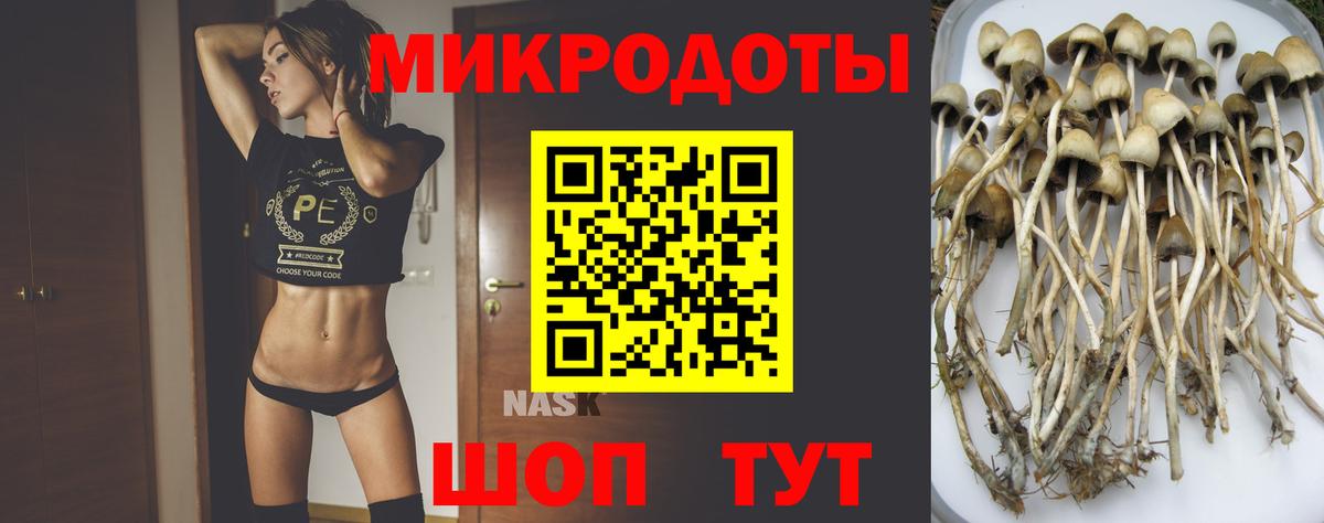 Галлюциногенные грибы Cubensis Екатеринбург