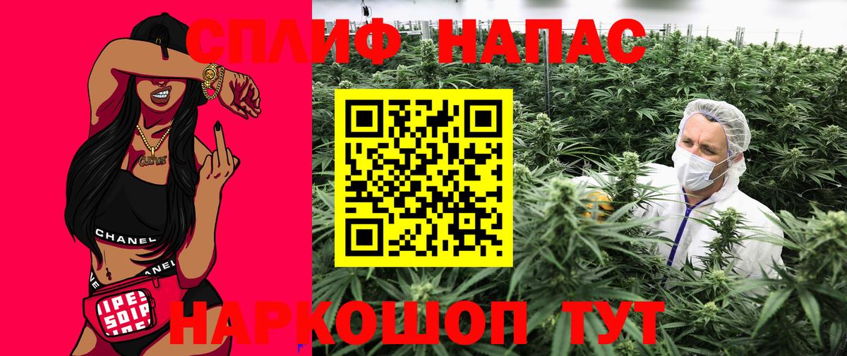 Бошки марихуана марихуана Екатеринбург
